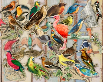 Bird Fussy Cut Junk Journal Kit: Printable Ephemera (Digital Download)