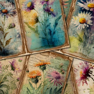 Junk Journal Printable, Asteraceae Flower , Vintage Journal Pages, Flower Junk Journal , Junk Journal Digi Kit, Asteraceae Journal