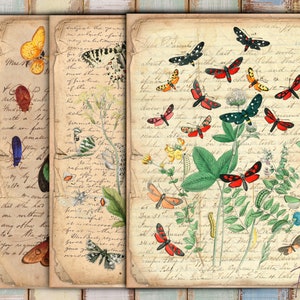 Kit digital de diario basura, cartas antiguas, papeles de collage de efímeras grunge, diario basura, hojas de collage de mariposas, páginas imprimibles vintage