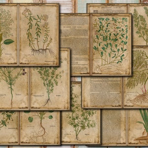 Di erbe e fiori - un diario botanico vintage stampabile Kit