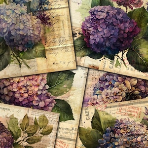 Könnte beinhalten: Eine Collage aus Vintage-Papier mit Hortensienblüten in Violett-, Rosa- und Blautönen. Das Papier hat handschriftlichen Text und Briefmarken.