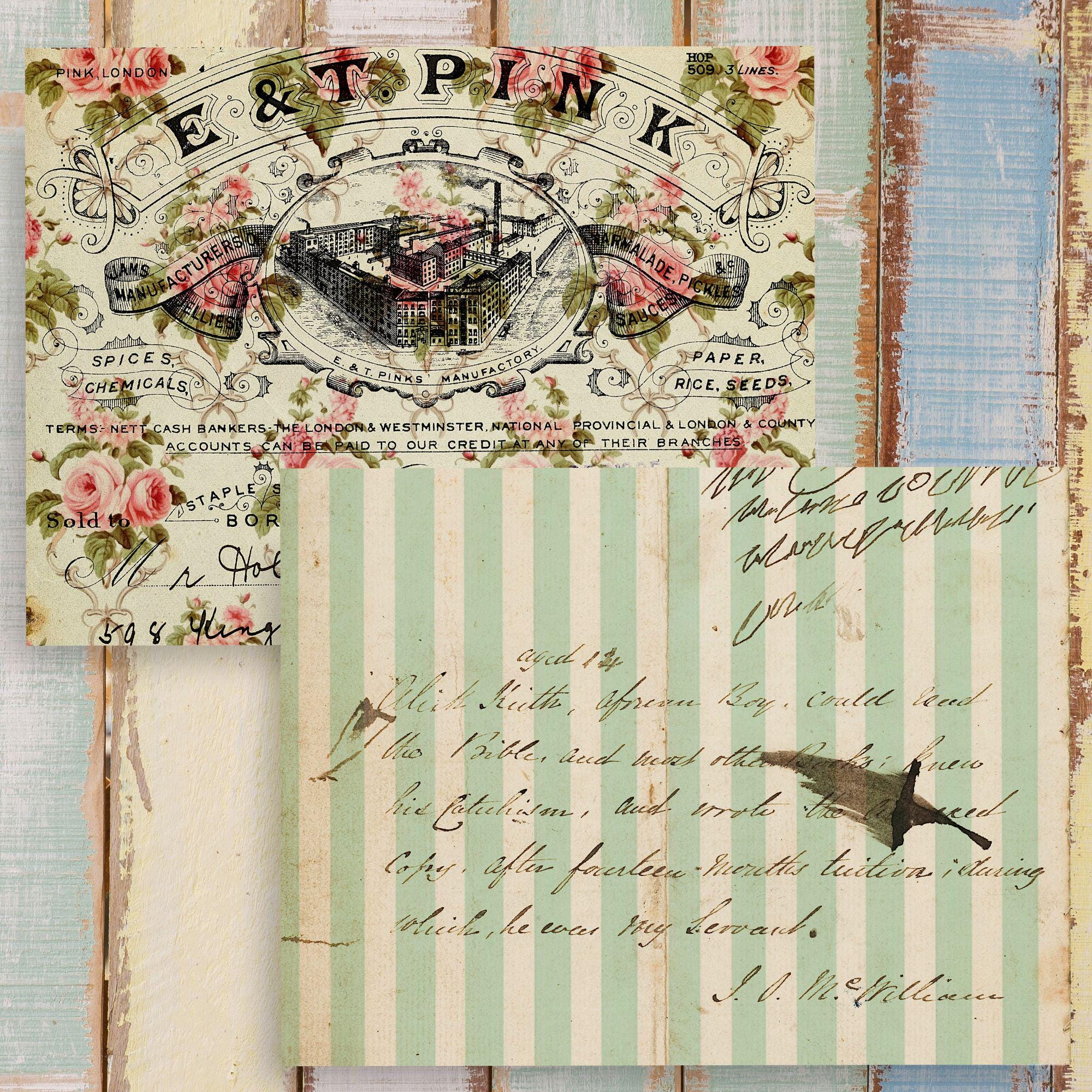 Shabby Chic Rose Digital Paper Pack: Vintage Floral Backgrounds ...