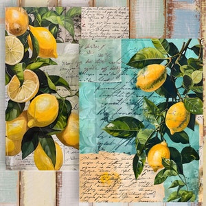 Lemon Junk Journal stampabile, kit per Lemon Junk Journal, carta per scrapbooking, foglio per collage digitale, primavera, download immediato, stampabile