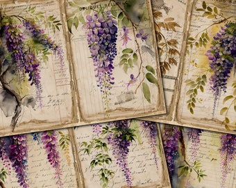 Kit de diario digital de glicinas chinas: páginas de flores vintage para diario basura - FA163