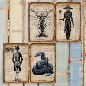 May include: A set of four digital collage sheets featuring vintage ledger paper backgrounds with illustrations of a skeletal tree figure, a top-hatted scarecrow, a skeleton in a tuxedo, and a coiled black snake with detailed scales and red eyes.