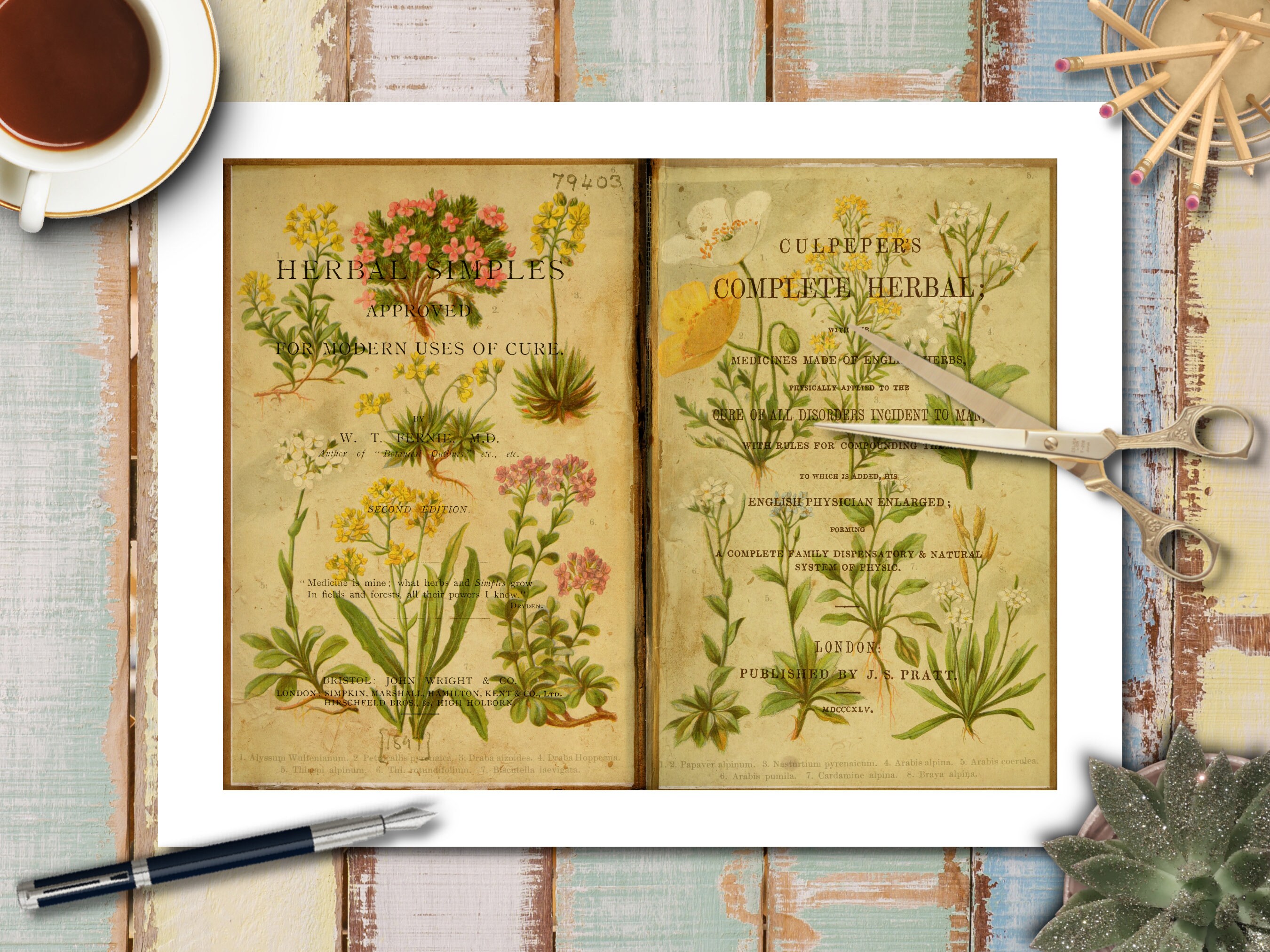 DIGITAL Antique Botanical Junk Journal Kit – Vintage Plant Prints ...