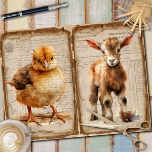 May include: A vintage-style illustration of a baby chick and a baby goat on a background of old paper with handwritten text. The chick is yellow and brown with a fluffy body and small beak. The goat is brown and white with a fluffy body and large ears. The text on the paper is in French.