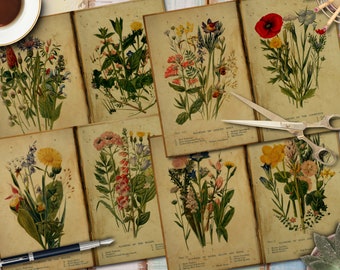 DIGITAL Antique Botanical Illustrations – Vintage Flower Prints - Junk Journal Kit - FA150