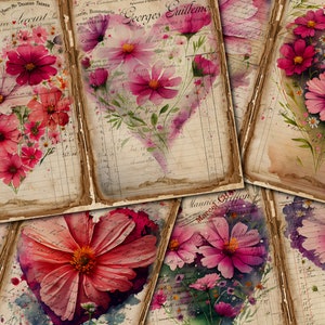 Könnte beinhalten: Eine Collage aus sechs Vintage-Papierseiten mit Aquarellmalereien von rosa Kosmeen, die in Herzformen angeordnet sind. Die Seiten haben handschriftlichen Text und verblasste Tinte.