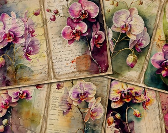 May include: A collage of six vintage postcards featuring watercolor paintings of pink and purple orchids on a background of faded handwritten text.