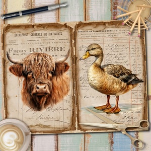 May include: A vintage style illustration of a brown and white Highland cow with a long, shaggy coat. The illustration is on a page with text that reads "ENTREPRISE G&Eacute;N&Eacute;RALE DE BATIMENTS" and "FIRMIN RIVI&Egrave;RE".