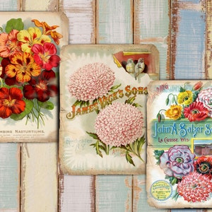 Junk Journal Printable, Junk Journal Digi Kit, Vintage Roses, Journal Supplies,  Ephemera, Floral Insert, Collage Sheet, Digital Kit