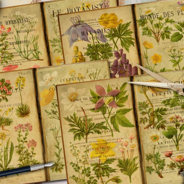 Junk Journal Digi Kit, Antique Botanical Illustrations, Old Book Flowers Images, Vintage Botanical Prints, Plants Collage Sheets