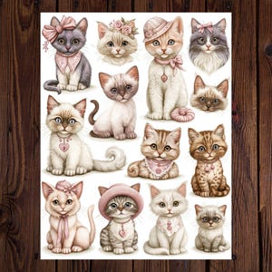 May include: A collection of watercolor illustrations of various cats. Each cat is depicted with unique accessories, including hats, bows, and necklaces. The cats are in different poses and have a variety of fur colors and patterns, set against a white background.