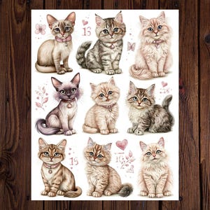 May include: A sheet of stickers featuring nine adorable cartoon kittens in various poses. Each kitten has a unique coat pattern and is wearing a pink collar. Decorative elements include hearts, butterflies, and the number 13 and 15.