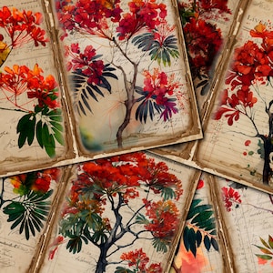 Delonix Regia Junk Journal Pages: Vintage Flower Digi Kit (Digital Download)
