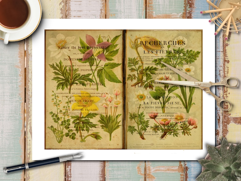 DIGITAL Antique Botanical Junk Journal Kit – Vintage Plant Prints ...