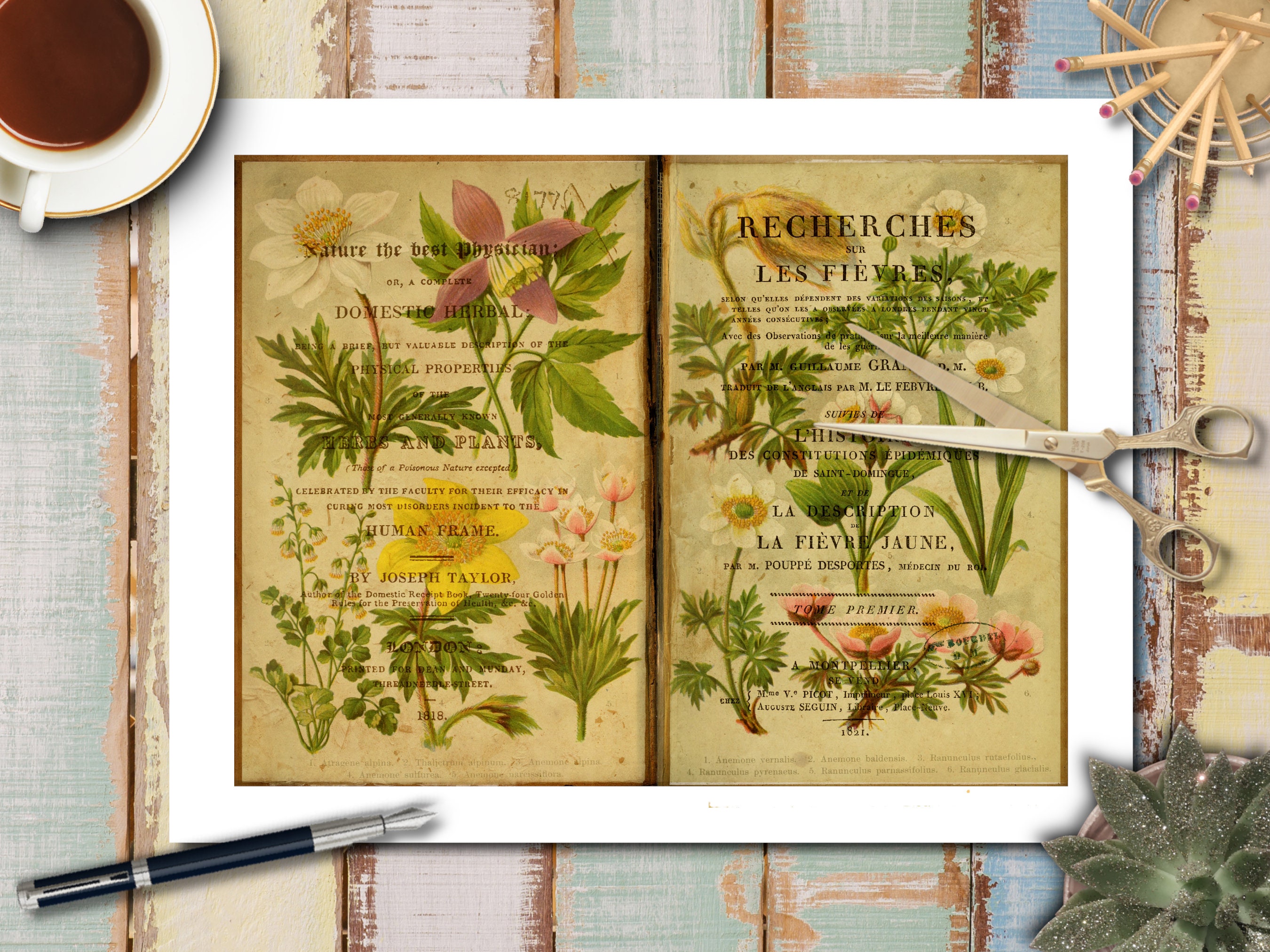DIGITAL Antique Botanical Junk Journal Kit – Vintage Plant Prints ...
