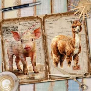 May include: Two vintage ledger pages with handwritten text and illustrations. The left page features a pink piglet with a brown nose and hooves. The right page features a brown alpaca with a white face and fluffy fur. Both pages have a distressed, aged look.