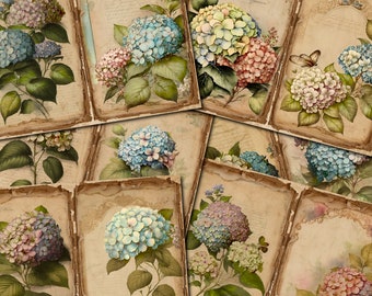 Op de afbeelding: Een collage van vintage-achtige afbeeldingen met hortensia bloemen in verschillende tinten blauw, roze en wit. De afbeeldingen zijn geplaatst tegen een achtergrond van verouderd papier met handgeschreven tekst.