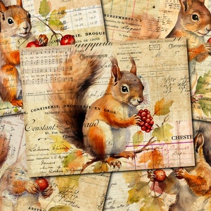 Journal indésirable imprimable, écureuil, papiers vintage, journal indésirable écureuil, kit digi vintage de journal indésirable, journal imprimable