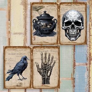 May include: A set of four digital collage sheets featuring vintage French ledger paper backgrounds. The images include a black cauldron with a skull, a detailed human skull, a black raven, and a metallic skeletal hand with intricate webbed details.