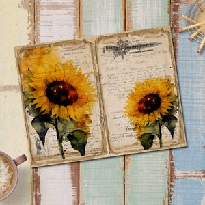 May include: Two watercolor paintings of sunflowers on a vintage background with handwritten text. The sunflowers are yellow with brown centers and green leaves. The background is a light brown with faded writing.