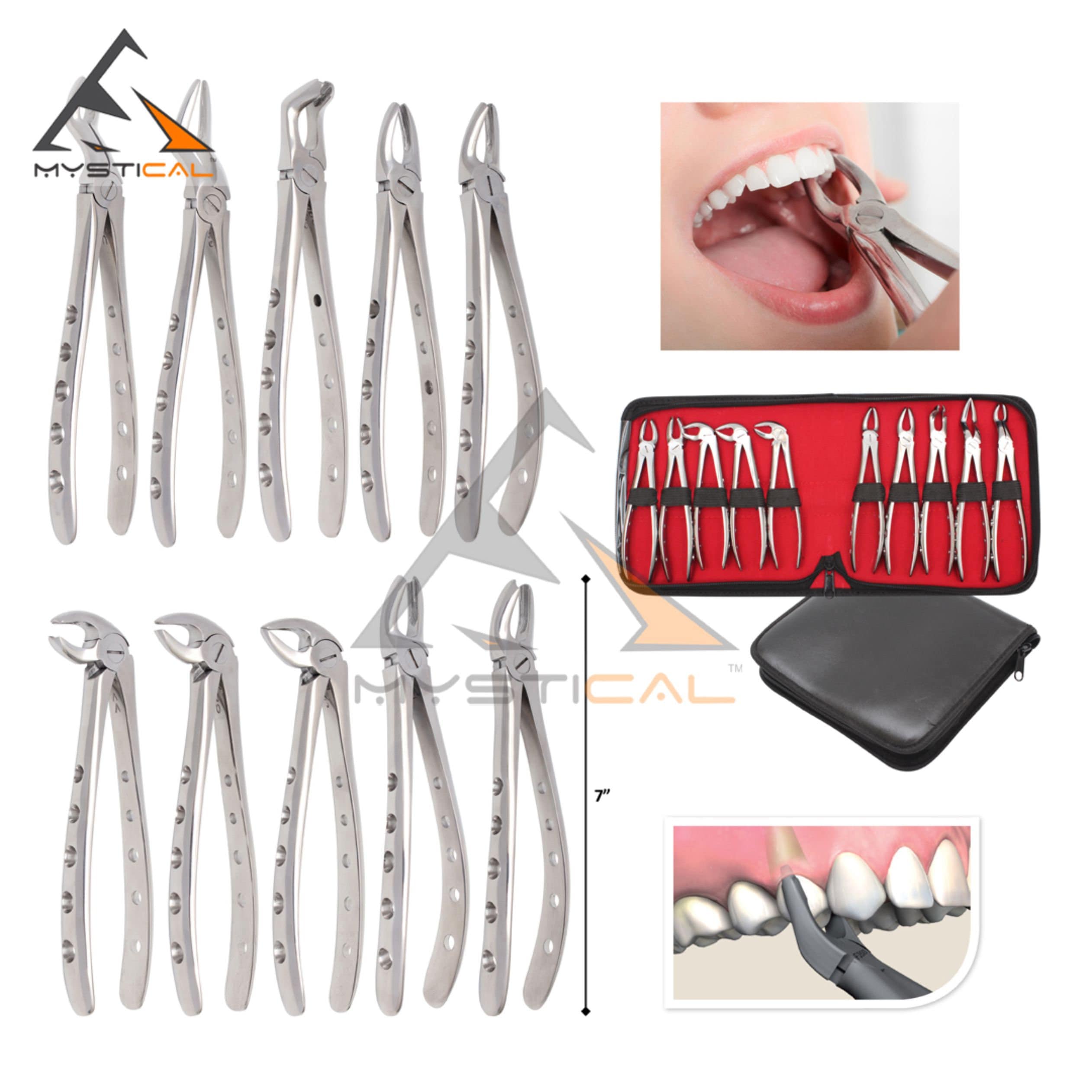 Dental Surgical Tissue Tweezer Dental Forcep Extraction Hemostat Medical Tweezers  Round Tip Straight 12cm Dental Surgery Tool