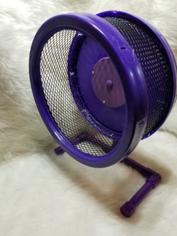 Sugar glider exercise deals wheel