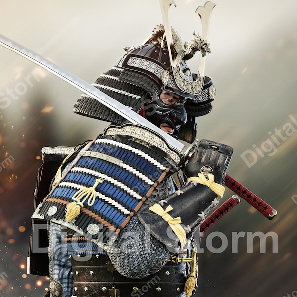 The way of the Samurai , A fully armored Samurai surveys the battlefield.