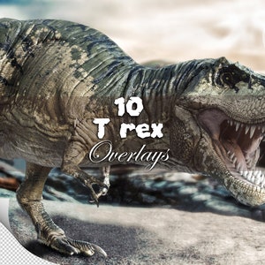10 Trex transparent overlays,Transparent PNG Trex,T-rex clip art for composite Photography,Dragon digital art.