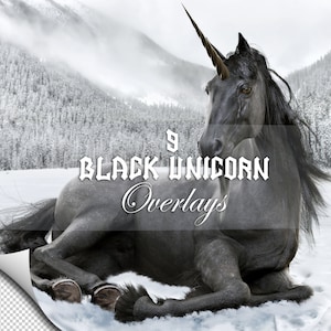 9 Fantasy black Unicorn transparent overlays,Transparent PNG Unicorn,Unicorn clip art for composite Photography,Unicorn digital art.
