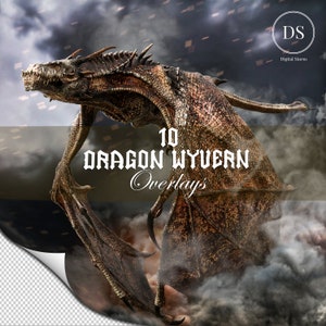 10 Fantasy Dragon Wyvern transparent overlays,Transparent PNG Dragons,Dragon clip art for composite Photography,Dragon digital art.