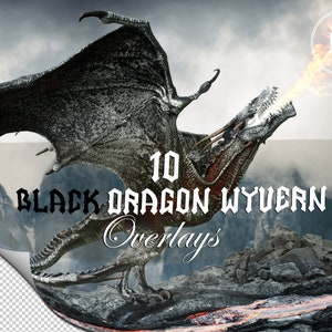 10 Fantasy Dragon Black Wyvern transparent overlays,Transparent PNG Dragons,Dragon clip art for composite   Photography,Dragon digital art.