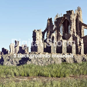 May include: Ruins of a stone cathedral with tall, pointed arches and crumbling walls. The cathedral is set against a blue sky with a grassy field in the foreground.