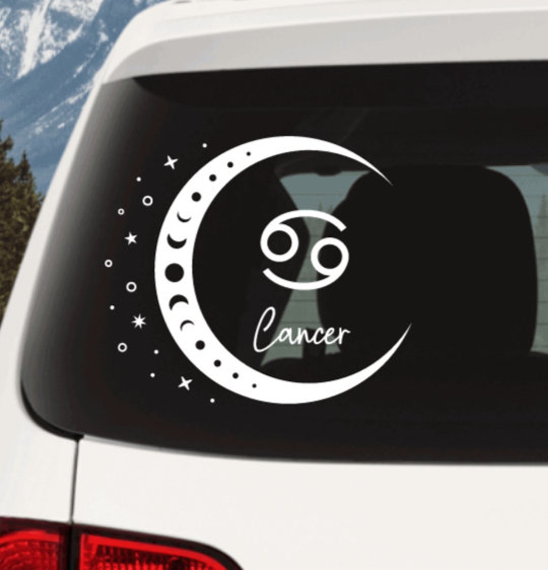 Cancer Sign Vinyl Decal, Cancer Sign Car Decal, Cancer Sign Stickers ...