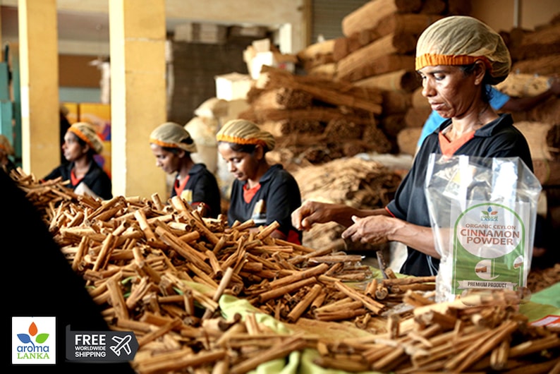 May include: Workers sort cinnamon sticks in a factory setting. The sticks are piled high and are a light brown color. A bag of "Organic Ceylon Cinnamon Powder" is visible in the foreground.