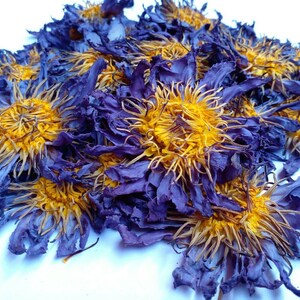 50g Organic Blue Lotus Flowers Nymphaea Caerulea Egyptian Whole Flowers and Crushed Flowers Nymphaea caerulea image 2