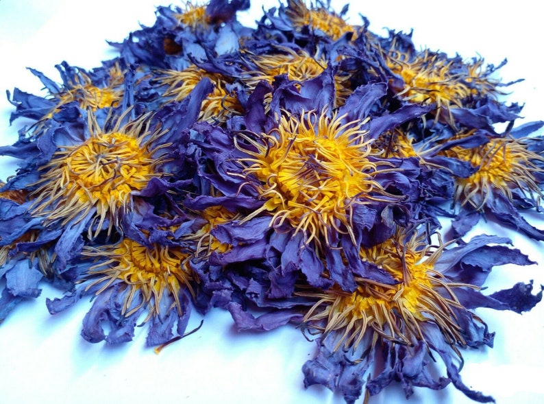 50g Organic Blue Lotus Flowers Nymphaea Caerulea Egyptian Whole Flowers and Crushed Flowers Nymphaea caerulea image 2