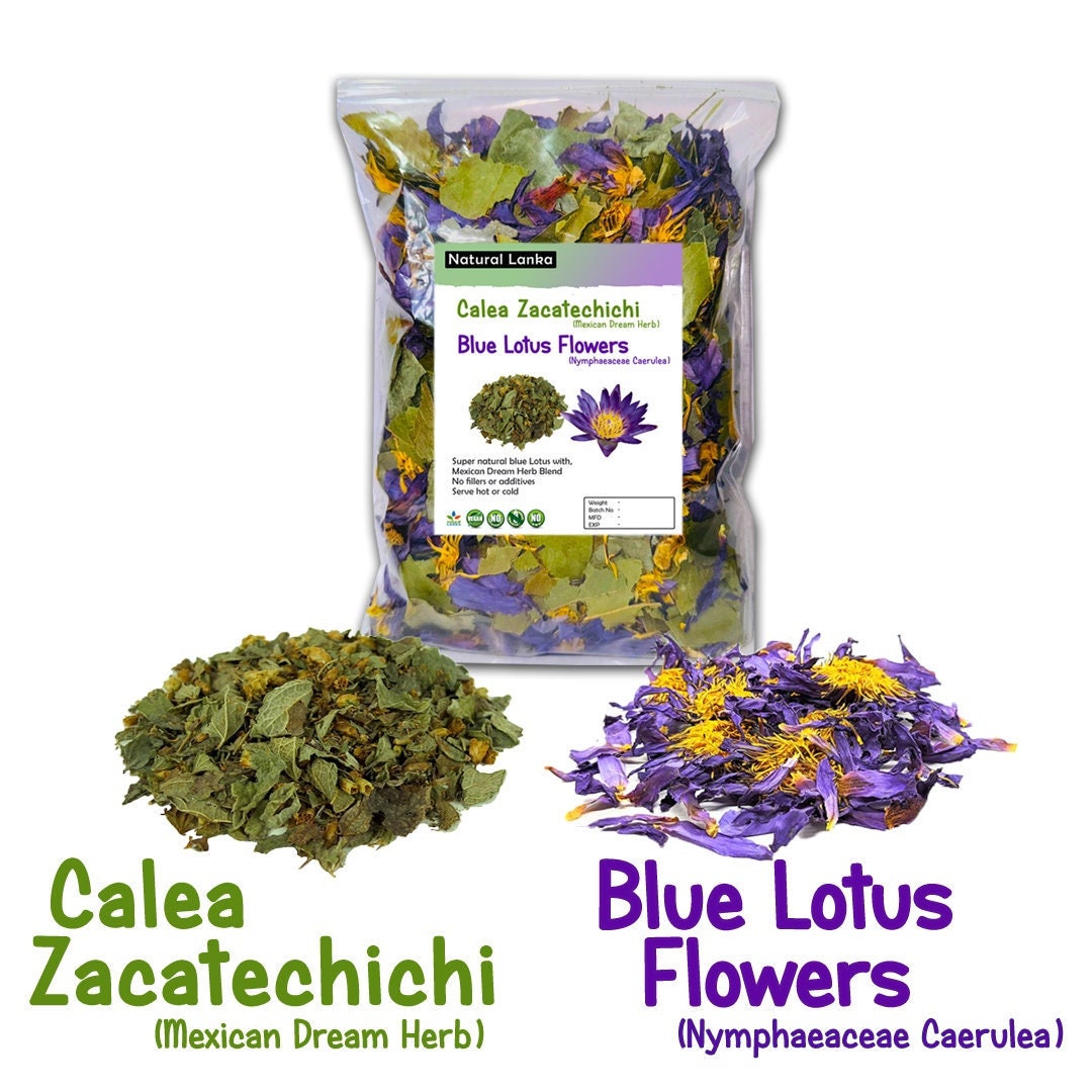 Egyptian Blue Lotus Flowers with Calea Zacatechichi Blend | Lucid Dreaming | Mexican Dream Herb and Nymphaea caerulea | Organic Herb Tea