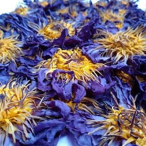 50g Organic Blue Lotus Flowers Nymphaea Caerulea Egyptian Whole Flowers and Crushed Flowers Nymphaea caerulea image 5