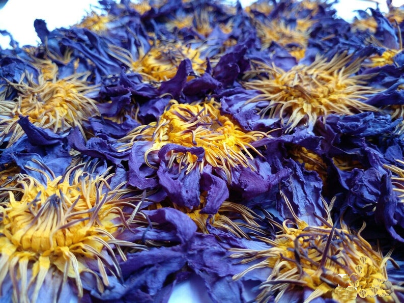 50g Organic Blue Lotus Flowers Nymphaea Caerulea Egyptian Whole Flowers and Crushed Flowers Nymphaea caerulea image 5