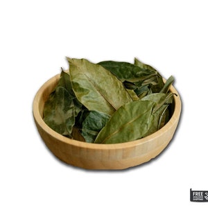 100% Organic Soursop Leaves/ Dried Guanabana/ Graviola/ Annona Muricata/ Guayabano Leaf herb image 4
