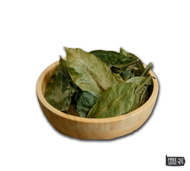 100% Organic Soursop Leaves/ Dried Guanabana/ Graviola/ Annona Muricata/ Guayabano Leaf herb image 4