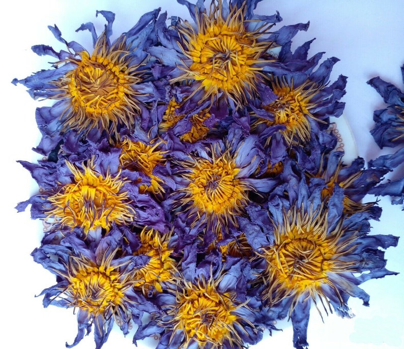 50g Organic Blue Lotus Flowers Nymphaea Caerulea Egyptian Whole Flowers and Crushed Flowers Nymphaea caerulea image 3