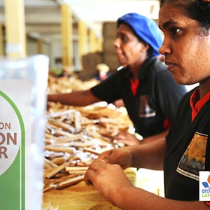 May include: Two people working in a factory, sorting and packaging cinnamon sticks. A bag of "Natural Lanka Organic Ceylon Cinnamon Powder" is in the foreground.