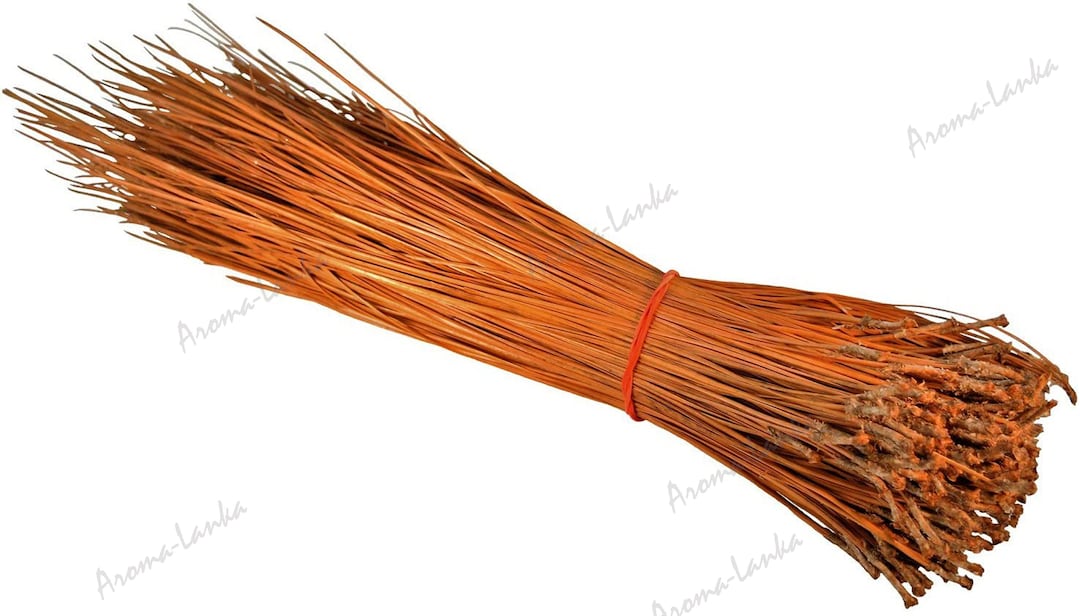 All Natural Long Leaf Pine Needles / Pine Straw for Crafts, Baskets