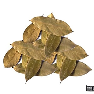 100% Organic Soursop Leaves/ Dried Guanabana/ Graviola/ Annona Muricata/ Guayabano Leaf herb image 5