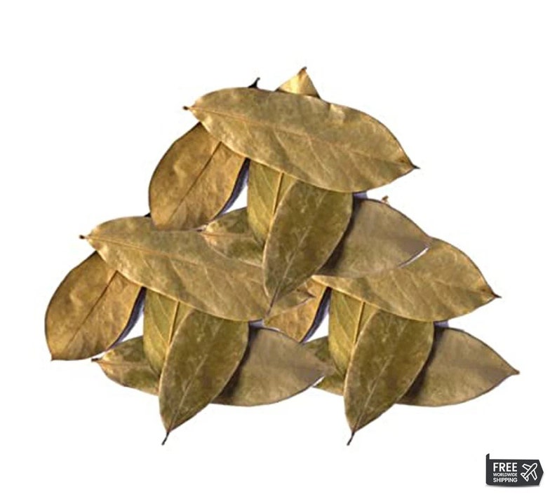 100% Organic Soursop Leaves/ Dried Guanabana/ Graviola/ Annona Muricata/ Guayabano Leaf herb image 5