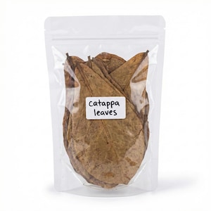 May include: A transparent plastic bag containing dried Catappa leaves. The leaves are brown and have a textured appearance. A white label with the words "catappa leaves" is attached to the bag.